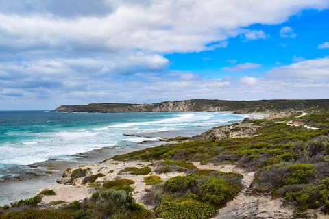 Kangaroo Island Luxury Small Group 'East End Explorer' Full Day Tour - Coogee Beach Accommodation 0
