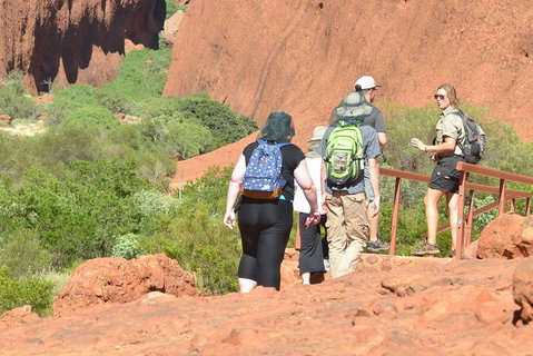 Afternoon Kata Tjuta Small Group Tour - Coogee Beach Accommodation 0
