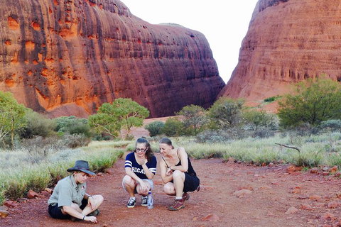 Afternoon Kata Tjuta Small Group Tour - Coogee Beach Accommodation 2