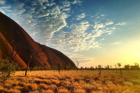 Highlights Of Uluru Including Sunrise And Breakfast - Coogee Beach Accommodation 0