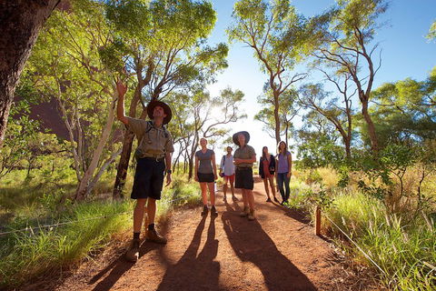 Uluru Small Group Tour Including Sunset - Coogee Beach Accommodation 0