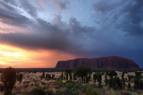 Uluru Small Group Tour Including Sunset - Coogee Beach Accommodation 4