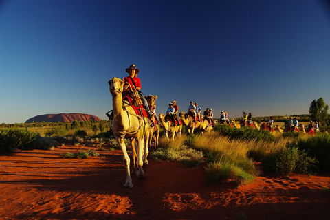 Uluru Small-Group Tour By Camel At Sunrise Or Sunset - Coogee Beach Accommodation 1