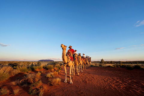 Uluru Small-Group Tour By Camel At Sunrise Or Sunset - Coogee Beach Accommodation 3