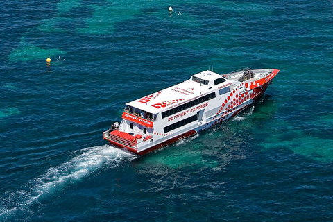 Discover Rottnest With Ferry & Bus Tour From Perth Or Fremantle - Coogee Beach Accommodation 3