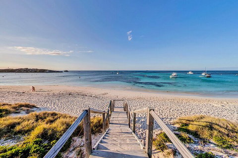 Discover Rottnest With Ferry & Bus Tour From Perth Or Fremantle - Coogee Beach Accommodation 4