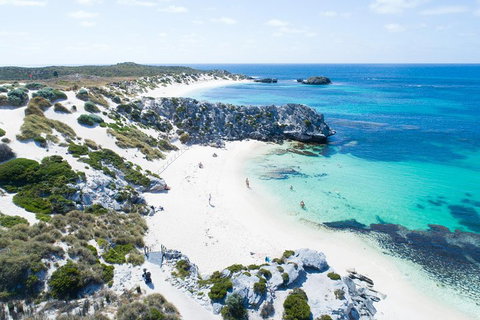 Discover Rottnest With Ferry & Bus Tour From Perth Or Fremantle - Coogee Beach Accommodation 5