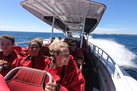 Adventure Rottnest Tour With Ferry & Adventure Cruise From Perth Or Fremantle - Coogee Beach Accommodation 0