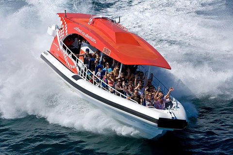 Adventure Rottnest Tour With Ferry & Adventure Cruise From Perth Or Fremantle - Coogee Beach Accommodation 2