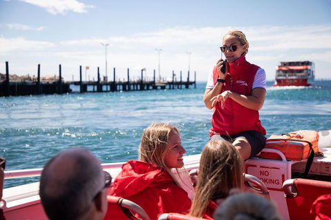 Adventure Rottnest Tour With Ferry & Adventure Cruise From Perth Or Fremantle - Coogee Beach Accommodation 4