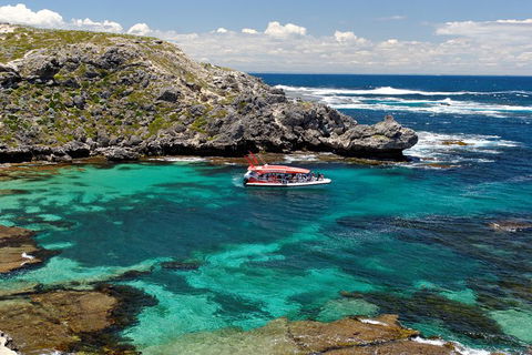Adventure Rottnest Tour With Ferry & Adventure Cruise From Perth Or Fremantle - Coogee Beach Accommodation 5