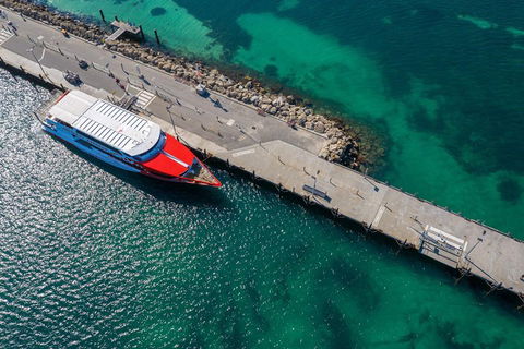 Rottnest Island Round-Trip Ferry From Perth Or Fremantle - Coogee Beach Accommodation 1