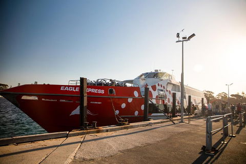 Rottnest Island Round-Trip Ferry From Perth Or Fremantle - Coogee Beach Accommodation 2