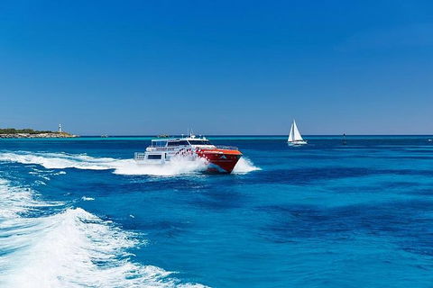 Rottnest Island Round-Trip Ferry From Perth Or Fremantle - Coogee Beach Accommodation 4