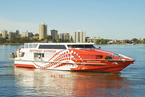 Rottnest Island Round-Trip Ferry From Perth Or Fremantle - Coogee Beach Accommodation 5