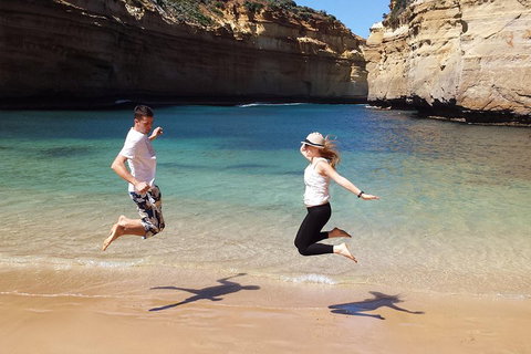 Full-Day Great Ocean Road And 12 Apostles Sunset Tour From Melbourne - Coogee Beach Accommodation 3