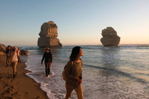 Full-Day Great Ocean Road And 12 Apostles Sunset Tour From Melbourne - Coogee Beach Accommodation 4