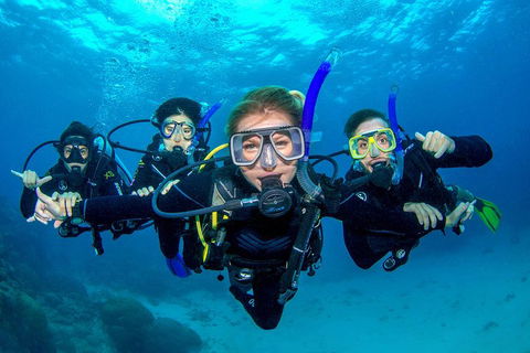Great Barrier Reef Diving And Snorkeling Cruise From Cairns - Coogee Beach Accommodation 0