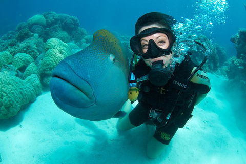 Great Barrier Reef Diving And Snorkeling Cruise From Cairns - Coogee Beach Accommodation 2