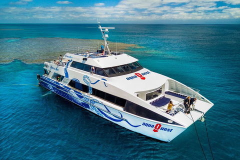 Great Barrier Reef Diving And Snorkeling Cruise From Cairns - Coogee Beach Accommodation 5