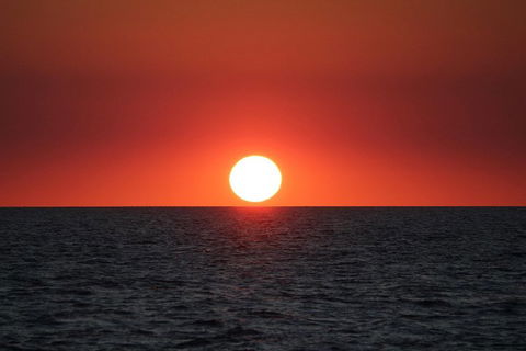 Roebuck Bay Snubfin Dolphin Cruise - Coogee Beach Accommodation 3