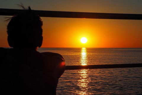 Roebuck Bay Snubfin Dolphin Cruise - Coogee Beach Accommodation 4