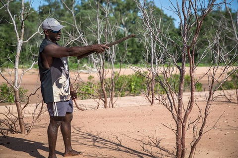 6 -Day East Arnhem Land Adventure - Coogee Beach Accommodation 5