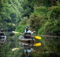 Byron Bay Rainforest Fishing - Coogee Beach Accommodation