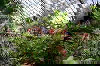 Book Viator Accommodation Vacations Coogee Beach Accommodation Coogee Beach Accommodation