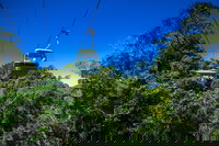 Classic Kuranda by Skyrail and Scenic Railway Including Rainforestation Koala and Wildlife Park and Pamagirri Aboriginal Experi, Cairns