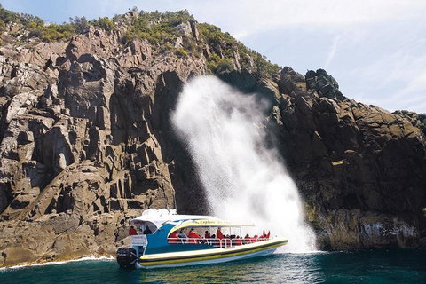 Full-Day Bruny Island Cruises Day Tour From Hobart - Coogee Beach Accommodation 4