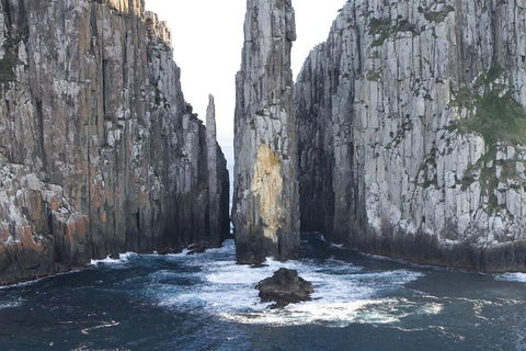Tasman Island Cruises And Port Arthur Historic Site Day Tour From Hobart - Coogee Beach Accommodation 2