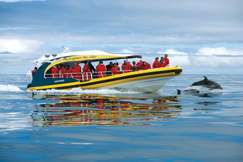 Tasman Island Cruises And Port Arthur Historic Site Day Tour From Hobart - Coogee Beach Accommodation 3