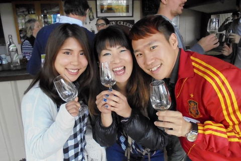 Wine Tasting Day Trip And Swan Valley River Cruise To Perth - Coogee Beach Accommodation 3