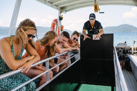 Fitzroy Island Day Trip From Cairns - Coogee Beach Accommodation 4
