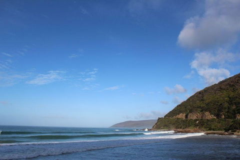 Private Great Ocean Road Day Tour With Early Departure & Early Return (11 Hours) - Coogee Beach Accommodation 3