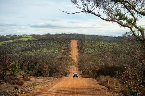 NEW TOUR - Kangaroo Island Road To Recovery Tour (1 Day/1 Night) - Coogee Beach Accommodation 2