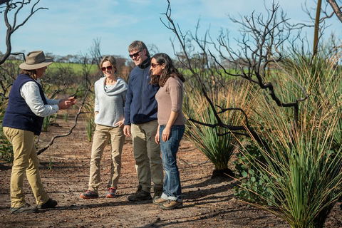 NEW TOUR - Kangaroo Island Road To Recovery Tour (1 Day/1 Night) - Coogee Beach Accommodation 4