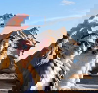 Full-Day Kangaroo Island Experience Departing from Kangaroo Island - Coogee Beach Accommodation