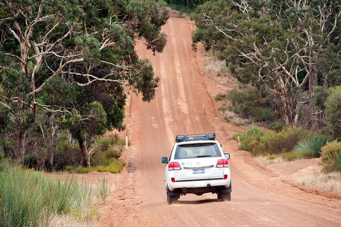 Small-Group Kangaroo Island 4WD Tour From Adelaide - Coogee Beach Accommodation 3