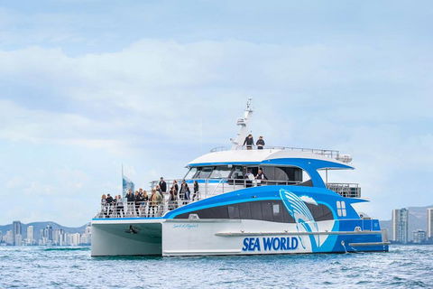 Whale Watching By Sea World Cruises - Coogee Beach Accommodation 3