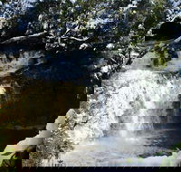Cradle Mountain Day Tour from Launceston Including Lunch - Coogee Beach Accommodation