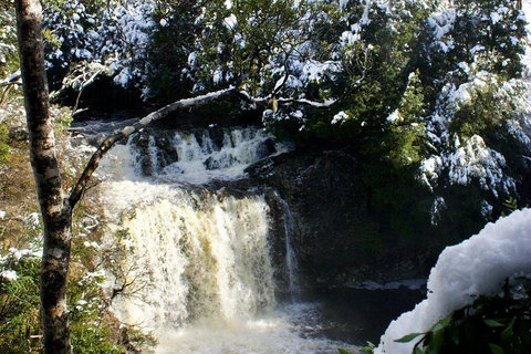 Cradle Mountain Park Explorer Guided Tour - Coogee Beach Accommodation 4
