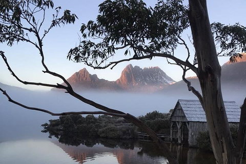 Cradle Mountain Park Explorer Guided Tour - Coogee Beach Accommodation 5