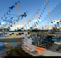 Beyond Byron Hinterland Tour - Coogee Beach Accommodation