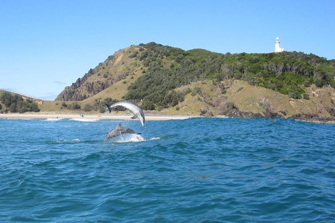 Kayaking With Dolphins In Byron Bay Guided Tour - Coogee Beach Accommodation 0