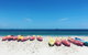 Kayaking With Dolphins In Byron Bay Guided Tour - thumb 1