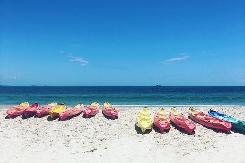Kayaking With Dolphins In Byron Bay Guided Tour - Coogee Beach Accommodation 1