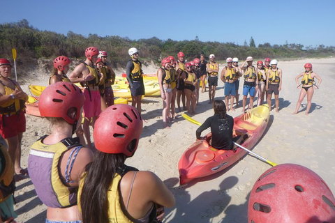 Kayaking With Dolphins In Byron Bay Guided Tour - Coogee Beach Accommodation 2