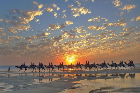 Broome City Sightseeing Tour With Optional Camel Ride - Coogee Beach Accommodation 1